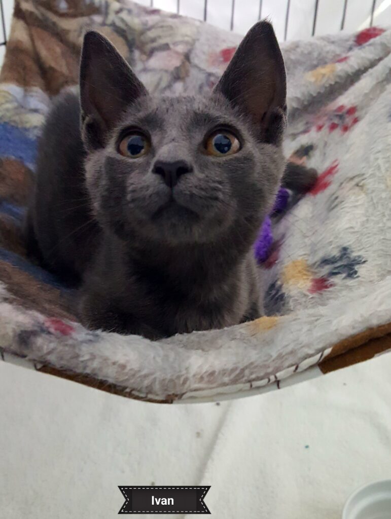 processed by AtomJPEG  1.5.0n