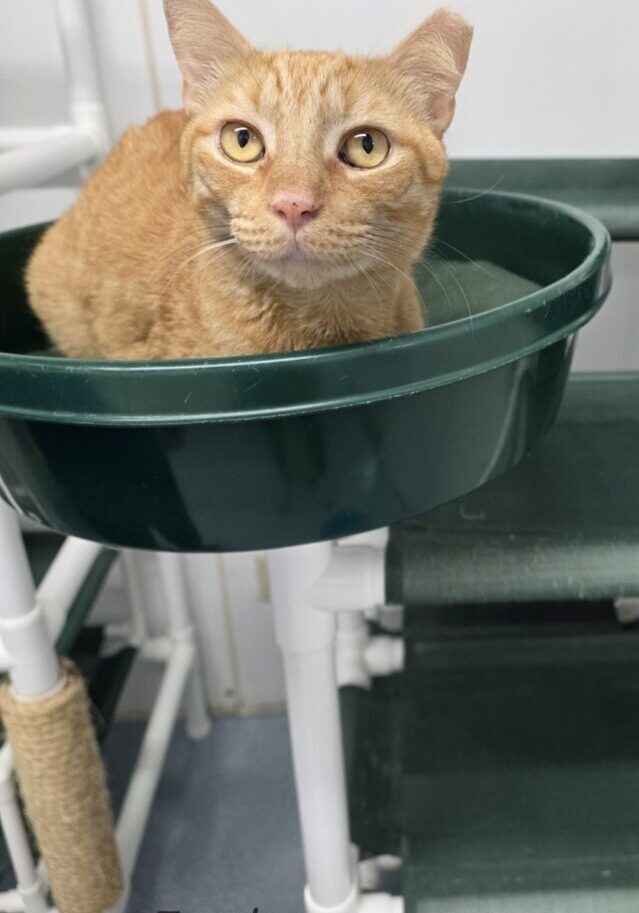 Fred