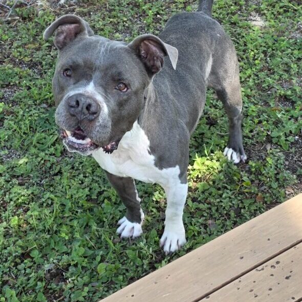 Zeus