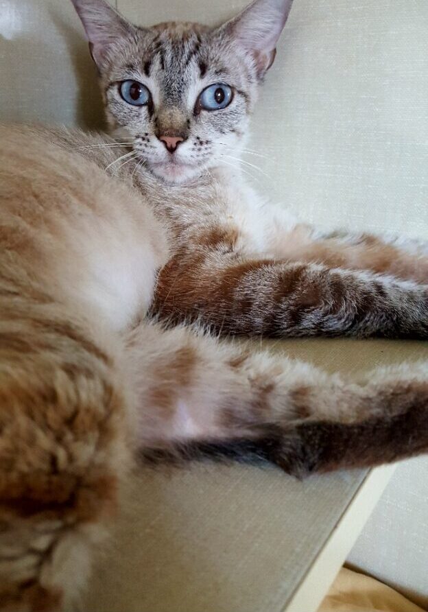 Zoe